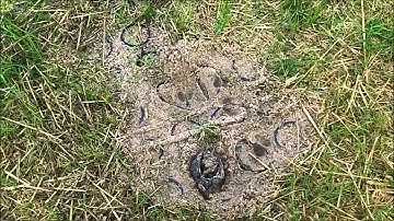 Week 4--GEOBLOCK® vs. Rolled Systems-Torsional Loading