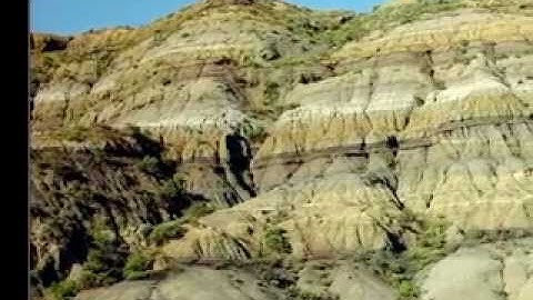 Mass Extinction and the K-T Boundary