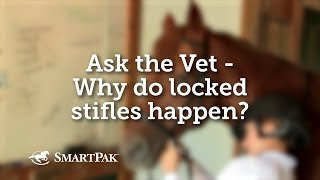Ask the Vet  Why do locked stifles happen?