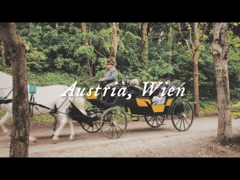 【低予算ヨーロッパ旅】1週間オーストリア・ウィーン滞在