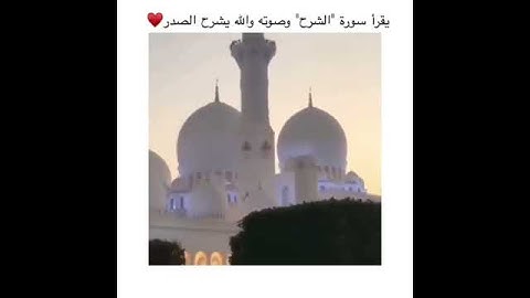 إدريس أبكر 🍃 تلاوة بصوت جميل 🎧 أجمل حالات واتس اب دينية مقاطع دينية قصيرة مقاطع انستقرام دينية