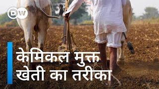 खेती में केमिकल छिड़कने की जरूरत नहीं [Regenerative farming methods are improving soil health]