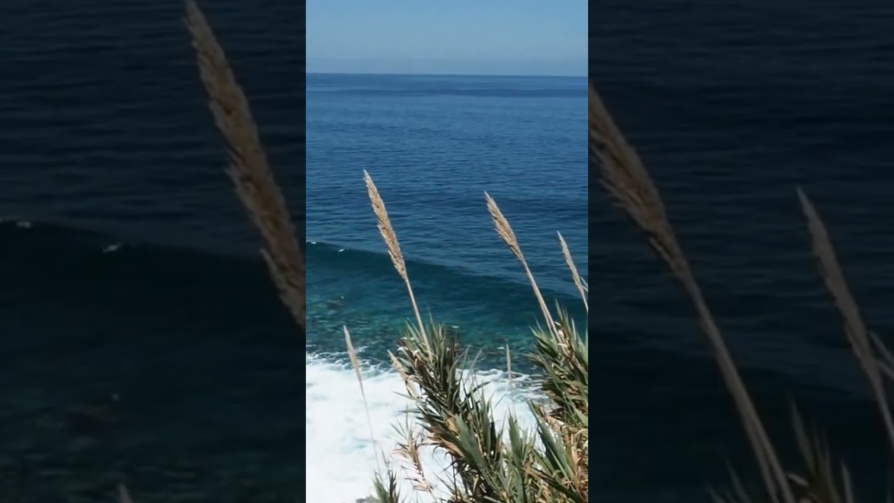 Madeira, Portugal, Jardim do Mar, #shorts