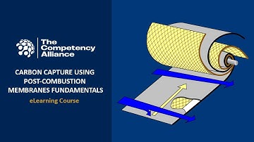 Carbon Capture Using Post-Combustion Membranes Fundamentals