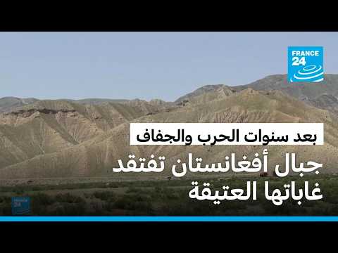 أفغانستان.. معركة لاستعادة المساحات الخضراء بعد سنوات الحرب الطويلة