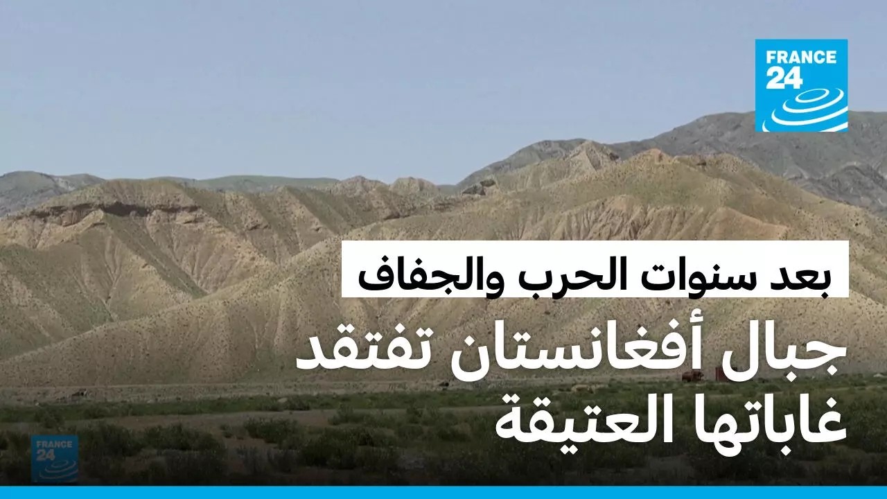 ���������.. ����� �������� �������� ������� ��� ����� ����� �������
 - نشر قبل 28 دقيقة