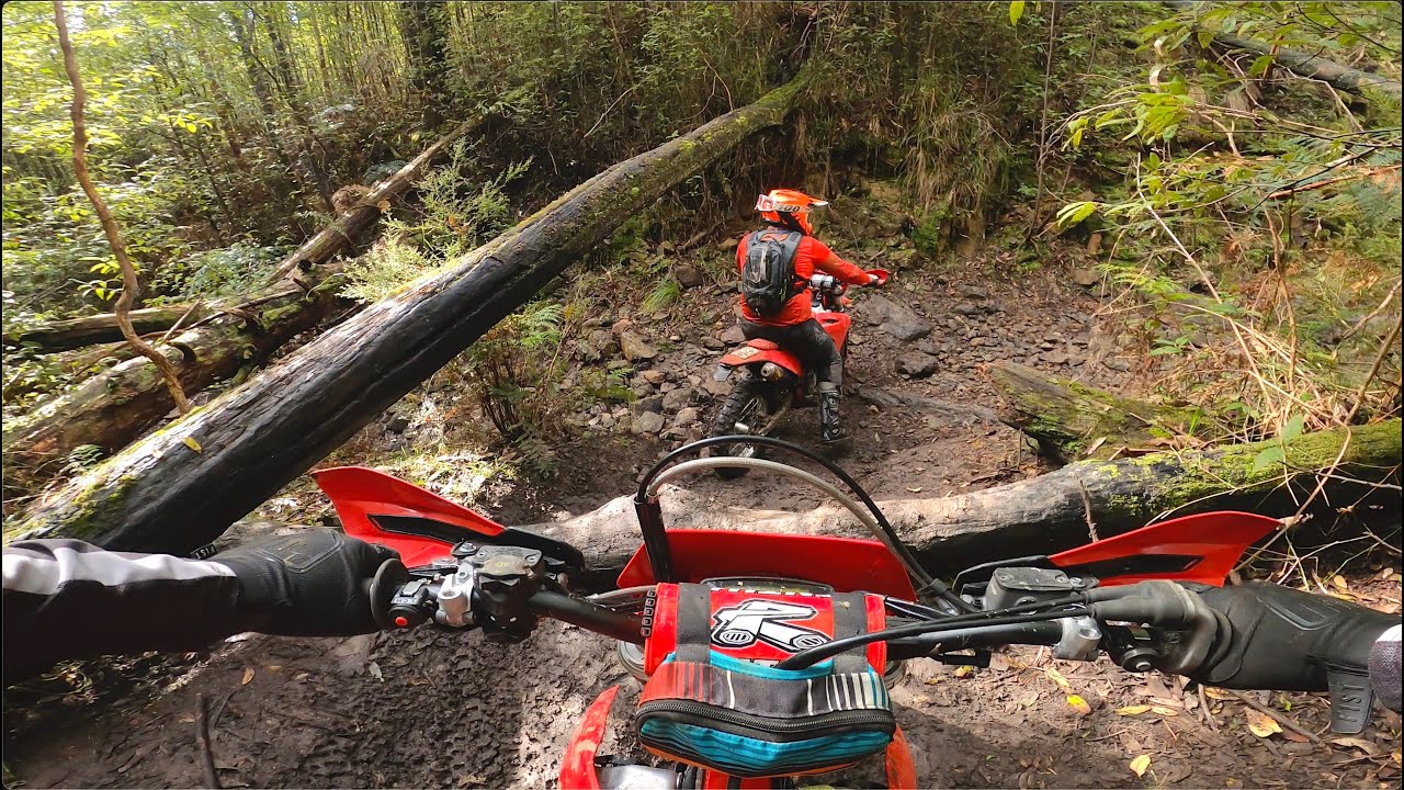 4-Stroke Hard Enduro - Gasgas EC350 (4K POV)