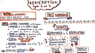 Numération au cycle 2 et 3 - didactique des mathématiques - CRPE