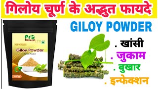 PRO NATURAL Giloy powder herbal powder benefits in Hindi