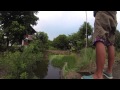 Thai Street Fishing # 1