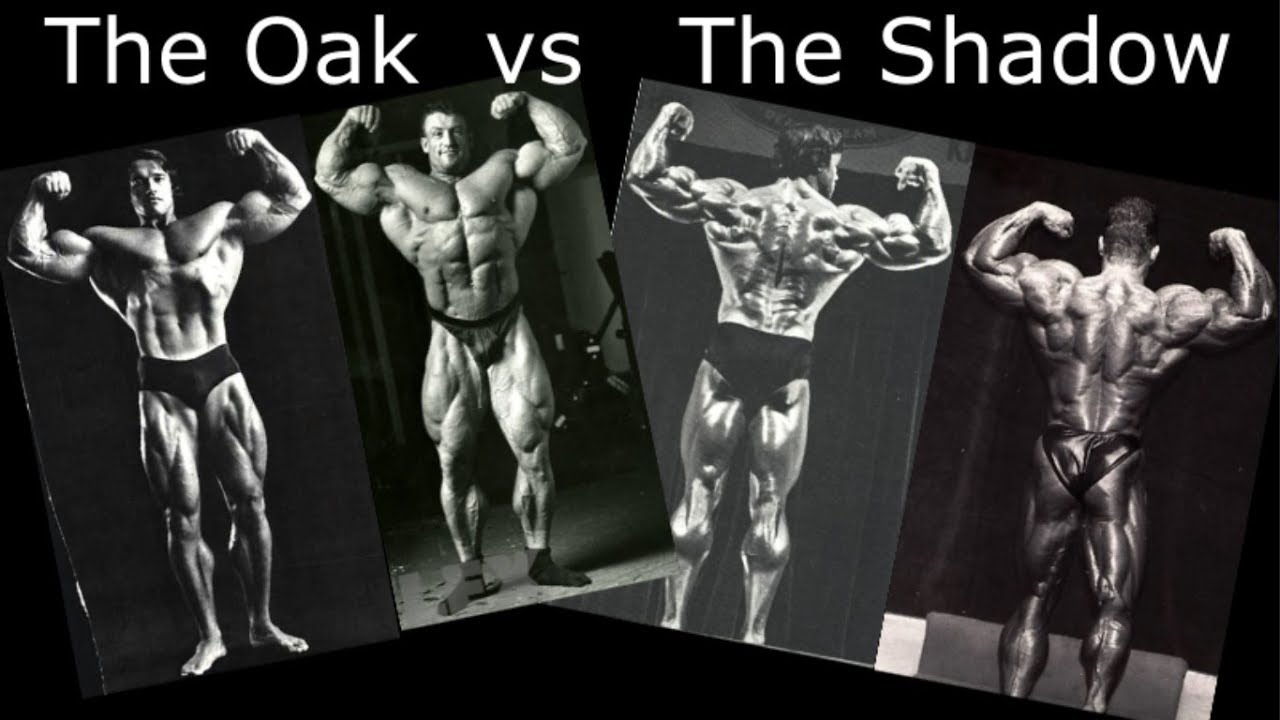 Arnold Schwarzenegger vs Dorian Yates