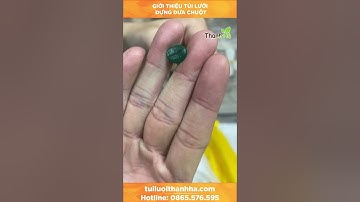 Giới thiệu túi lưới đa năng đựng dưa chuột/Tuiluoithanhha.com #shorts