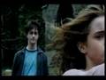 harry and hermione - because of you