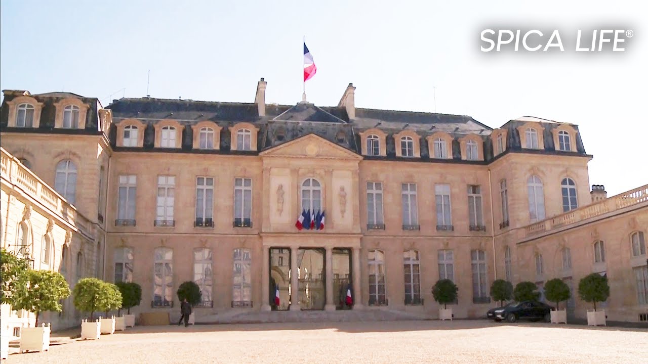 Dans les coulisses du pouvoir français : l'Elysée bien plus qu'une maison politique