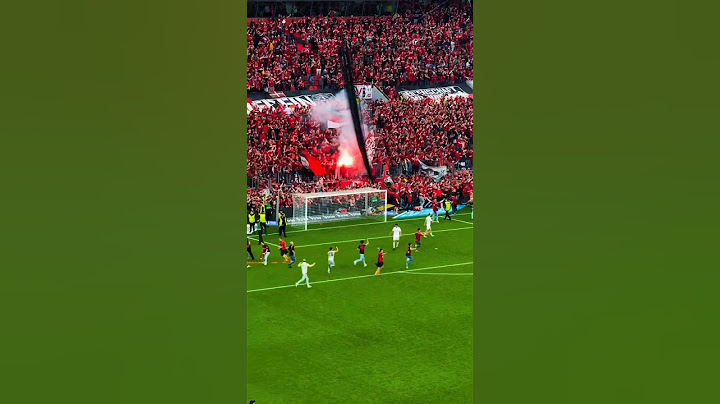 هدف فلوريان ويرتز الجمهور يقتحم الملعب ويحطم الإعلانات وتتويج بايرن ليفركوزن بلقب الدوري الألماني!🏆🔥