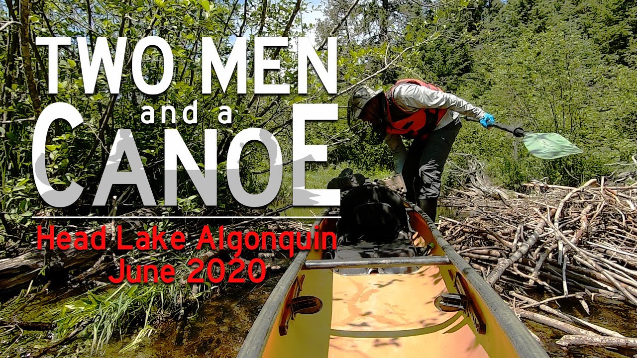 Backcountry Camping in Algonquin Head Lake June 2020 YouTube