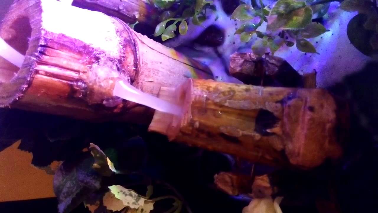 Homemade Bamboo Water Fountain YouTube