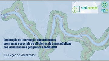 SNIAMB PAAP CC 2 Visualização PAAP