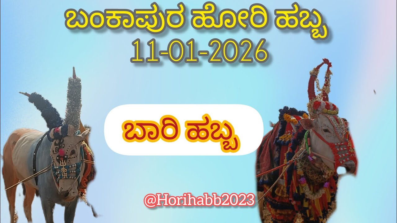 ಬಂಕಾಪುರ ಹೋರಿ ಹಬ್ಬ 11-01-2026 Bankapura Hori Habba 