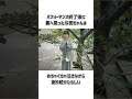 与田祐希の面白エピソード5選🍠 #乃木坂46 #shorts の動画、YouTube動画。