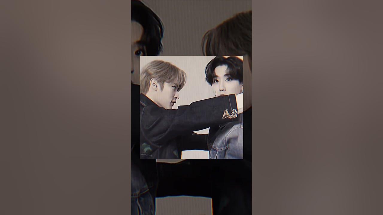 котёночки😭💋 #котенок #милыекотята #minsung #minho #jisung #кошки #минхо ...