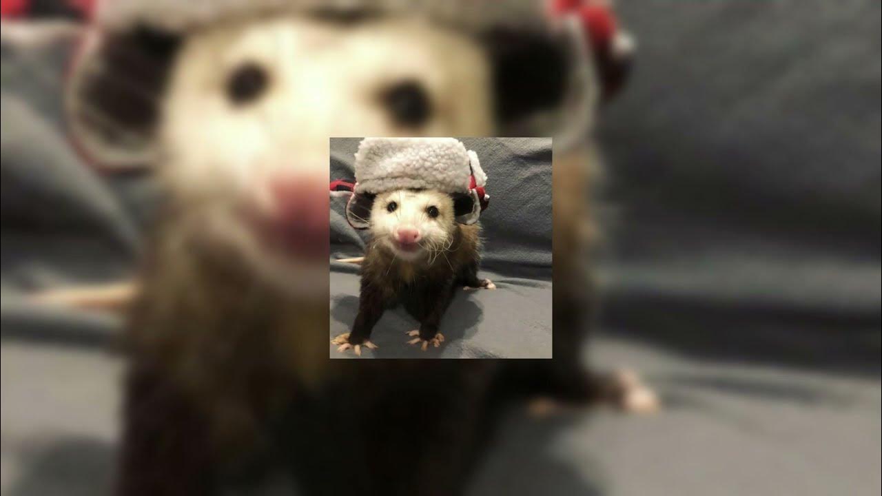 Порно ауызға зәр шығару