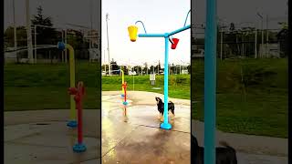 Jumping Dog Ka Shower Time Cute Dog Bathing