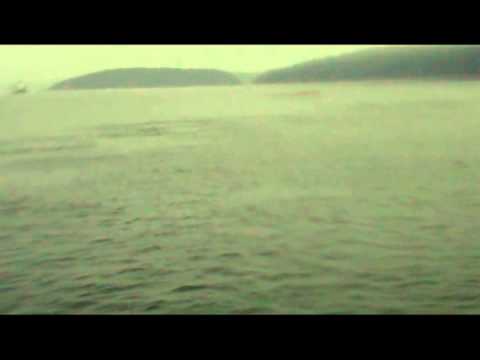 Wickerbird - The Harbor