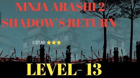 NINJA ARASHI 2 SHADOW