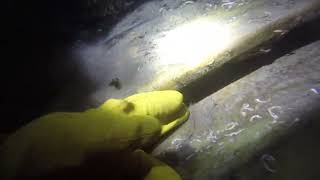 25,03,2020 Ç L K Boru Hatti Sörvey Ç L K 2 Çeki̇mgoopro