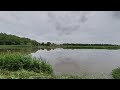 VR180 Cloudy day near the pond timelapse x16