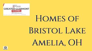Homes For Sale In Bristol Lake Amelia Ohio