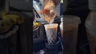 How Big Chungus spent her day in the van, part 30 #vanlife #lifeontheroad #shorts by Kayli King - fastfamvan 26,032 views 1 year ago 1 minute, 5 seconds