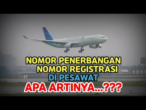 Meaning of Flight Number and Registration Number on Aircraft