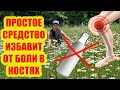 №7. Как я вылечила рак. Боли в костях. Почему я не ем молочные продукты