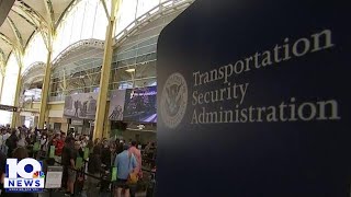 TSA collecting record number of guns