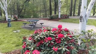 SEVEN FEATHERS RV RESORT