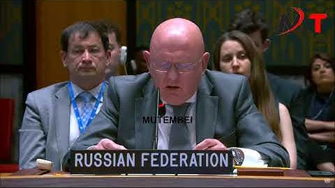 Silence in the World as Angry Russia Lectures UN Council Members of being Cowards who Fear USA!