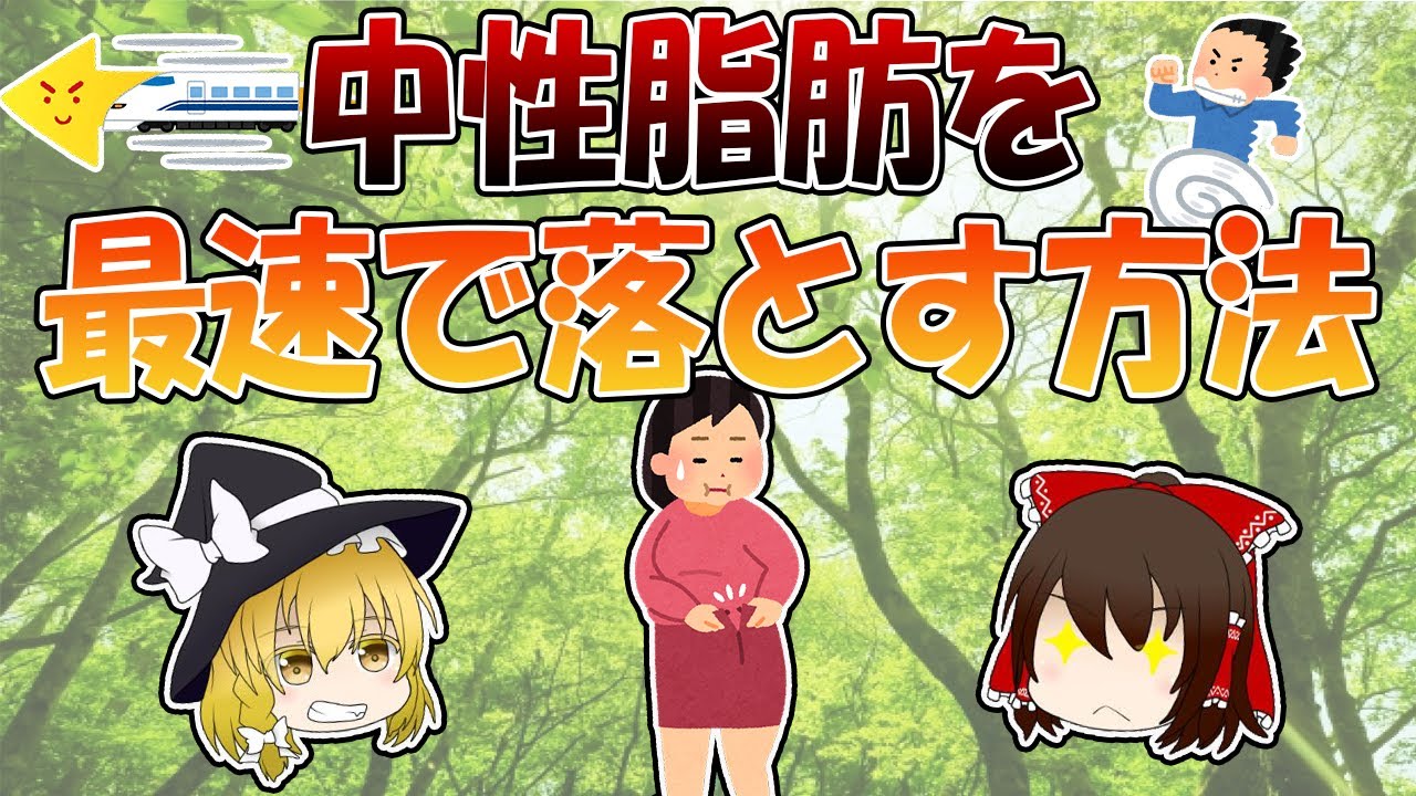 中性脂肪を最速で落とす方法【ゆっくり解説】