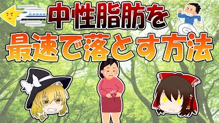 中性脂肪を最速で落とす方法【ゆっくり解説】