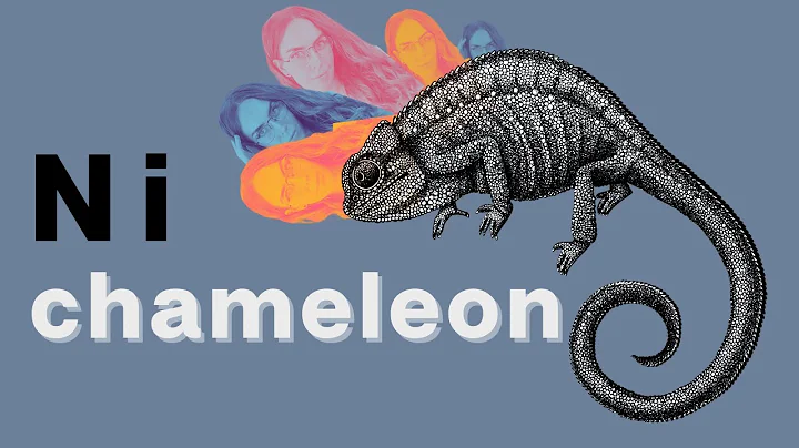Ni (introverted intuition) Chameleon | INFJ & INTJ