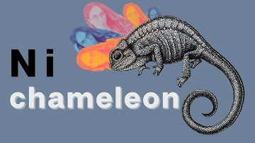 Ni (introverted intuition) Chameleon | INFJ & INTJ