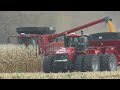 Harvest 2020 | Case IH 8230 Axial Flow Combine Harvesting Corn | Corn Harvest 2020