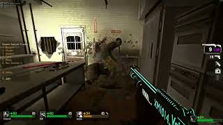 Introducing L4D1 Kills Screen Fade plugin (Sourcemod).