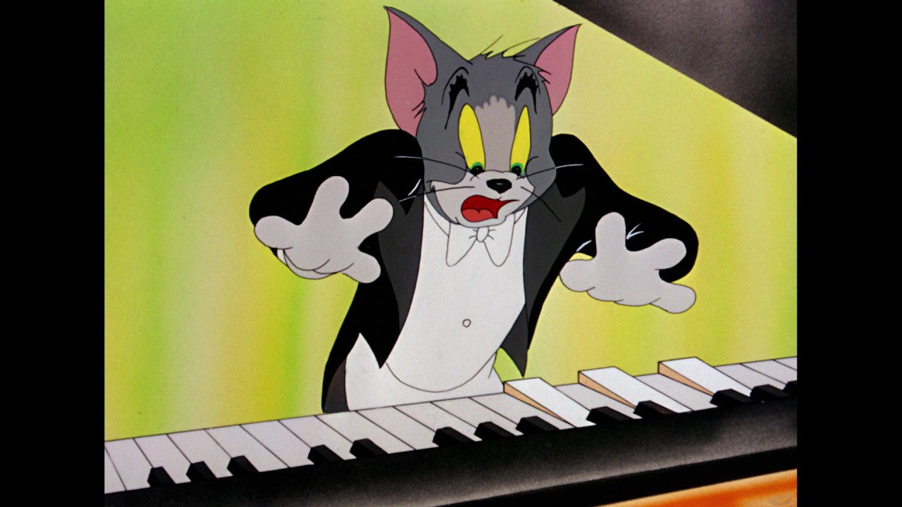 The Cat Concerto YouTube