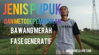 Apa Saja Jenis Pupuk Dan Metode Pemupukan Bawang Merah Fase Generatif