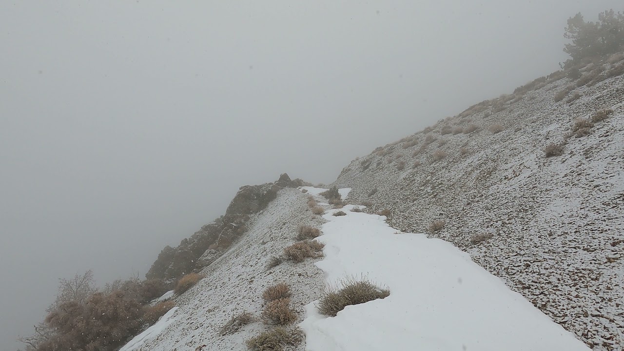 Songs of Cerro - Cold Air
