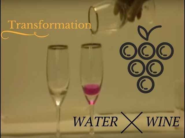 Přeměna vody ve víno - YouTube