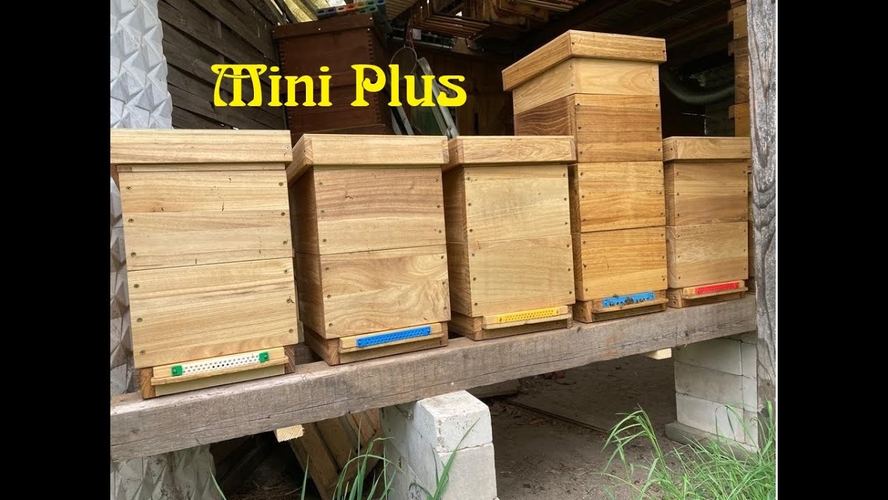 22.04.2023 MiniPlus umsetzen auf DNM