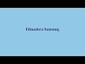 Filmadora Camcorder Samsung, Filmadora Samsung HMX-H304 Full HD de 16 GB